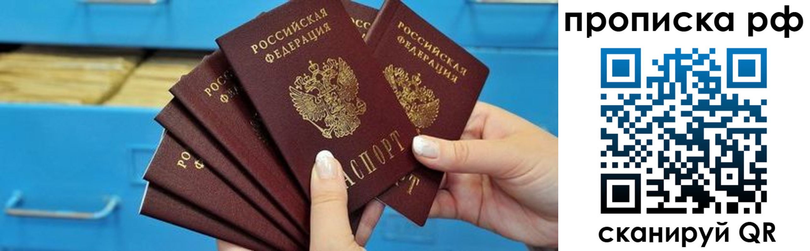 прописка поиск в Малоярославце
